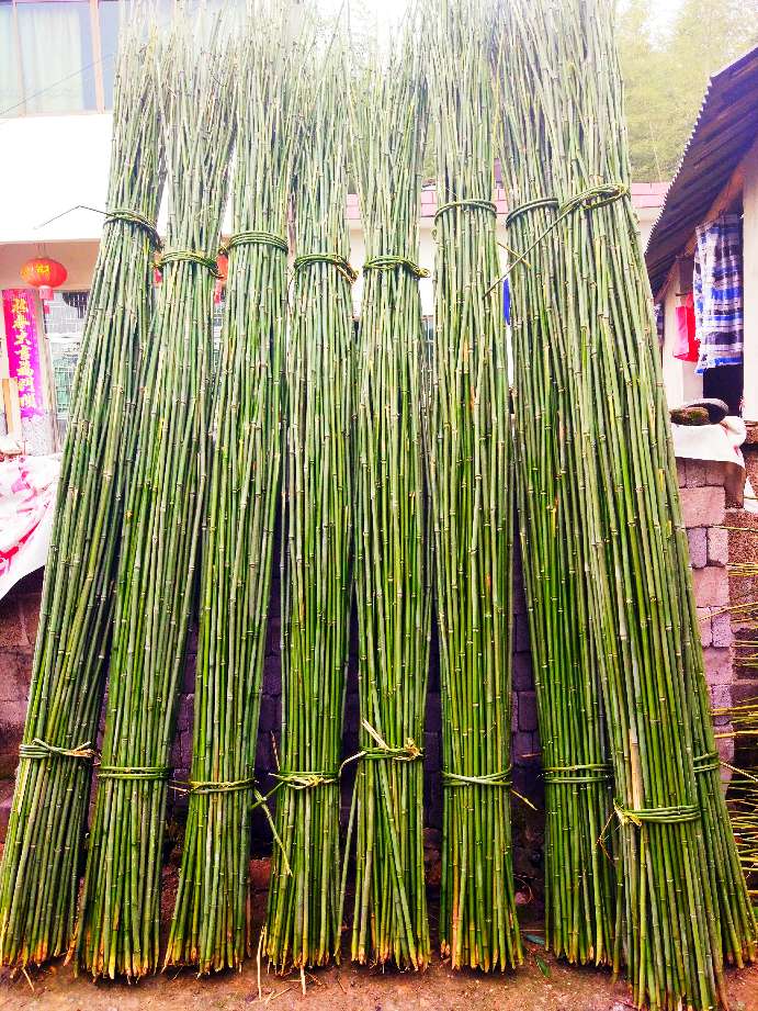 细细竹条一捆捆