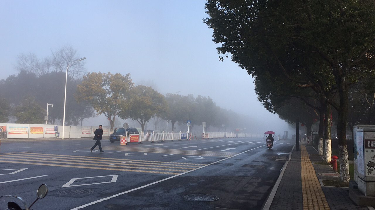 大雾天气,横穿马路