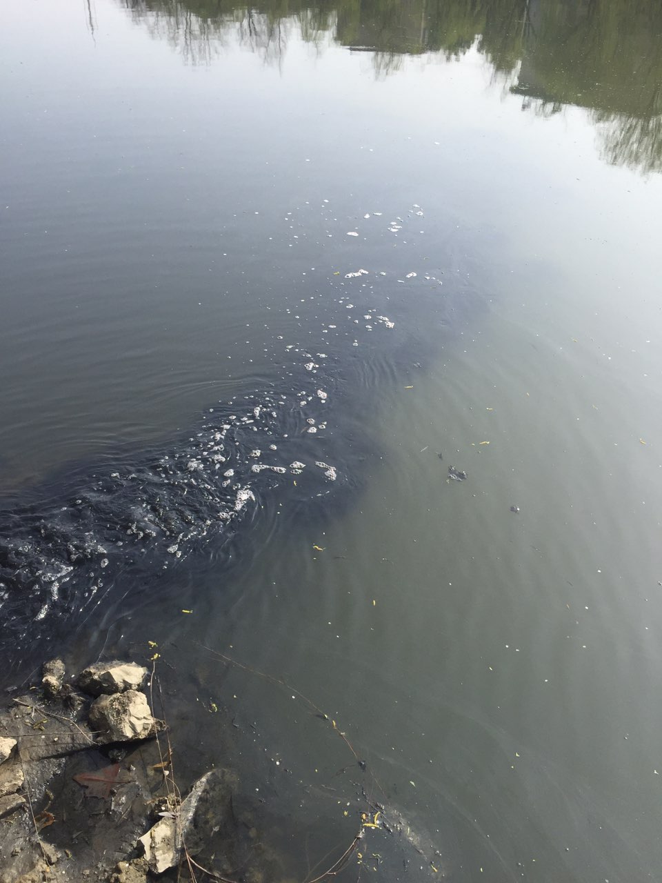 反映一下清溪河二中段水体污染问题已回复