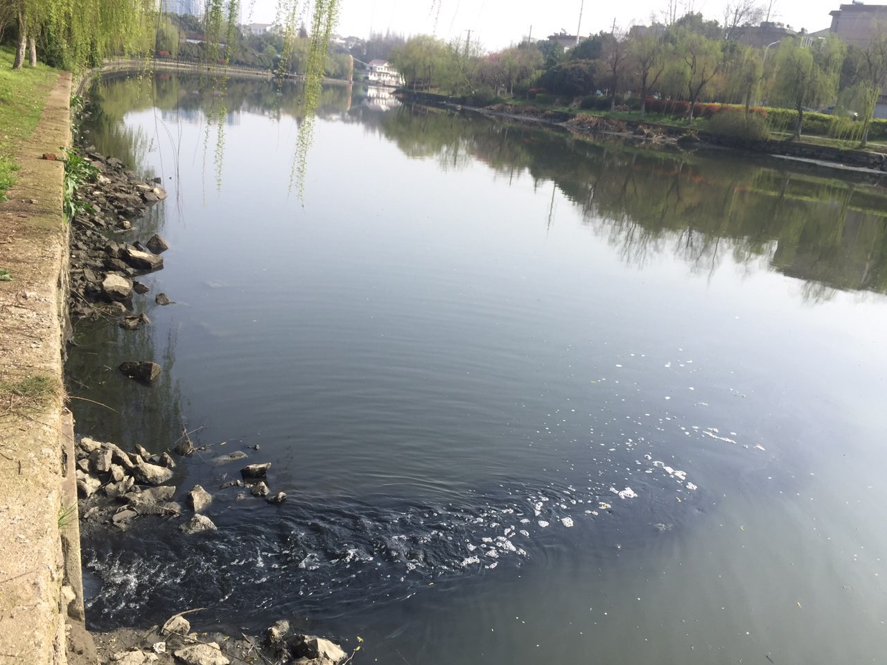 反映一下清溪河二中段水体污染问题已回复