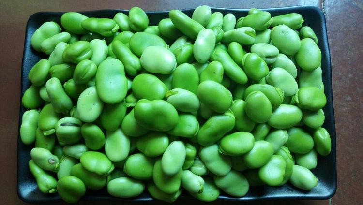 新鲜蚕豆上市,楼主闲来无事,学着煮来当零嘴吃