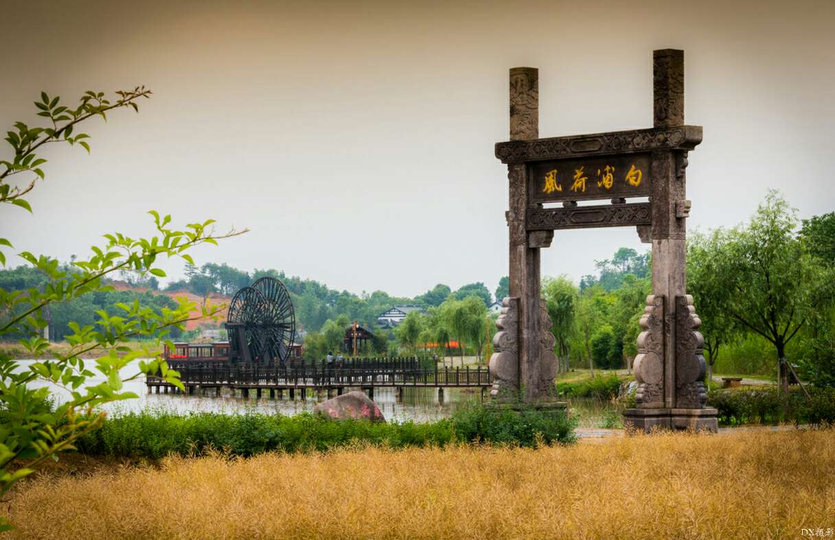 梦游杏花村 - 七嘴八舌 - 池州人论坛 - powered by discuz!