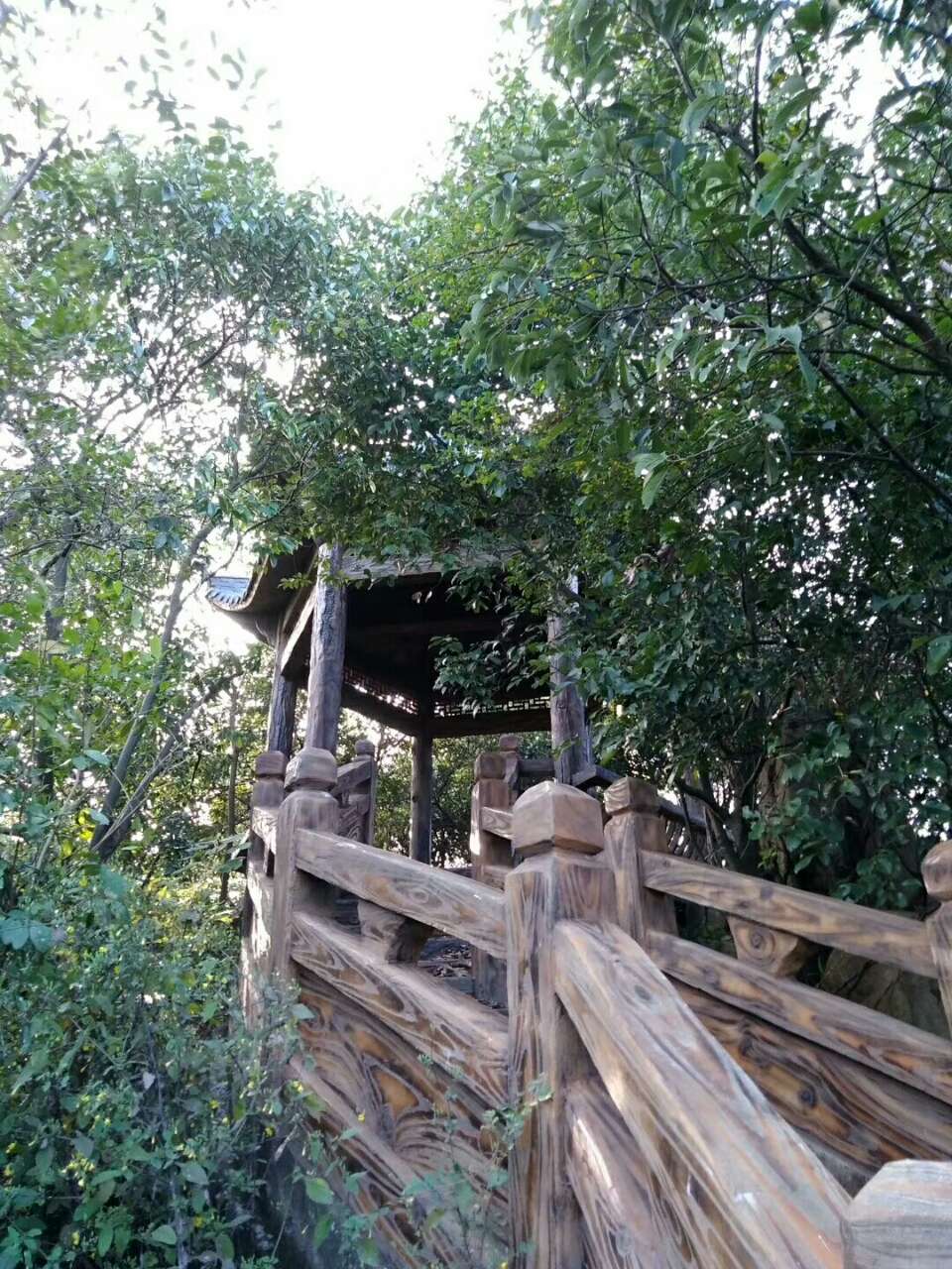 万罗山亟待政府进一步打造的山中璞玉