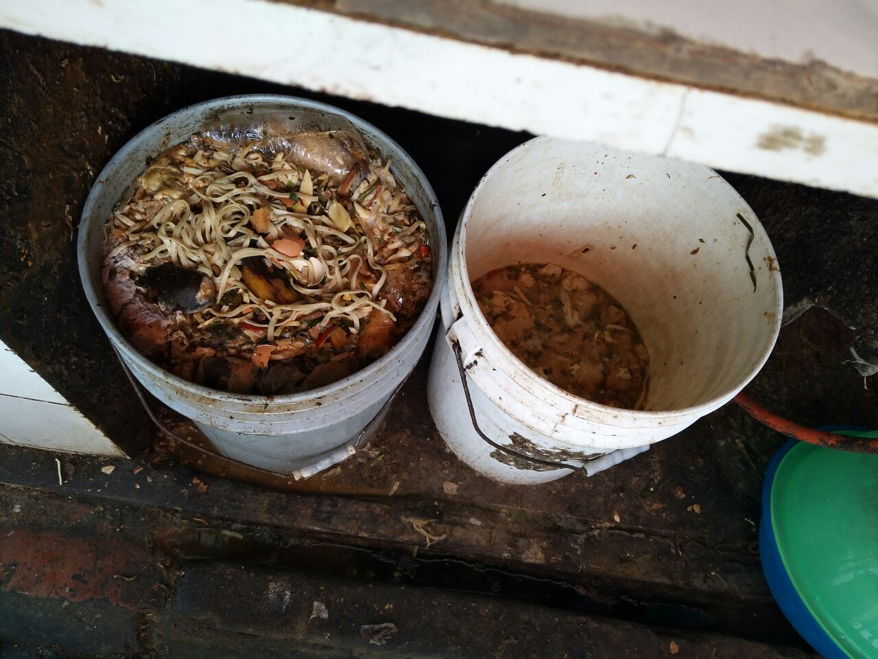 收泔水的人在哪