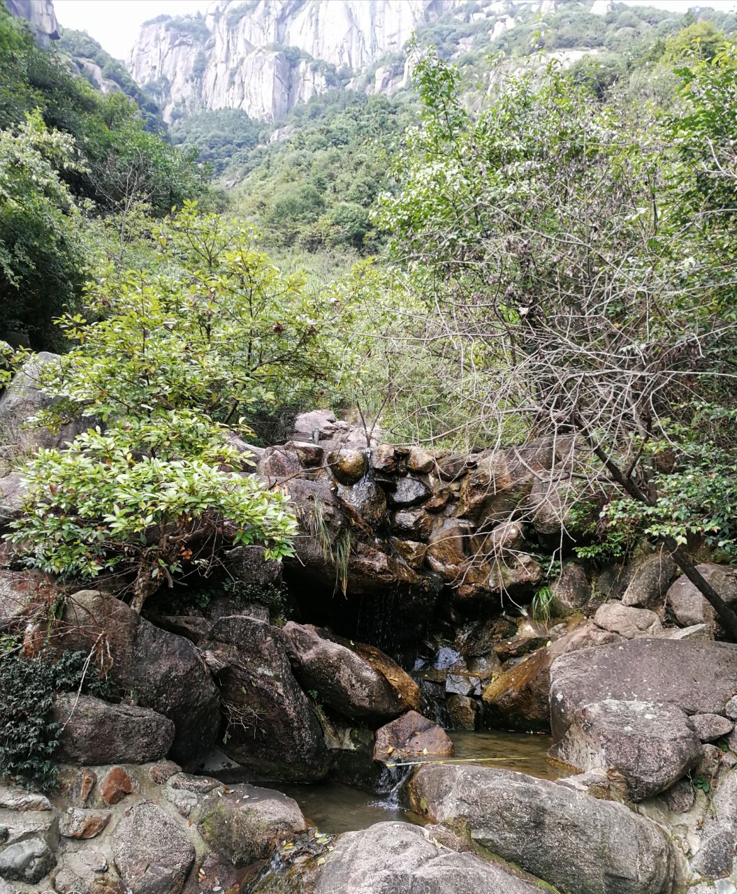 青陽蓮峰雲海景區