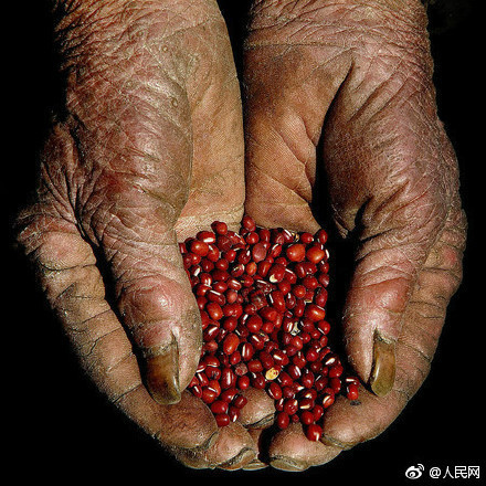 今日世界粮食日看看这些农民的手感觉心里一酸