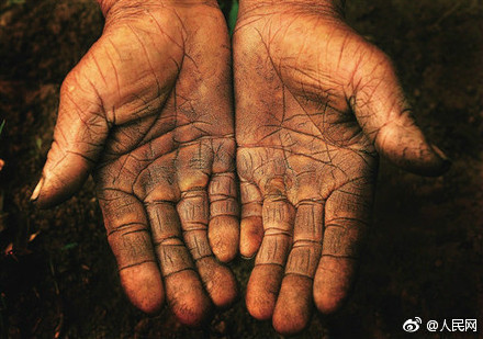今日世界粮食日,看看这些农民的手,感觉心里一酸