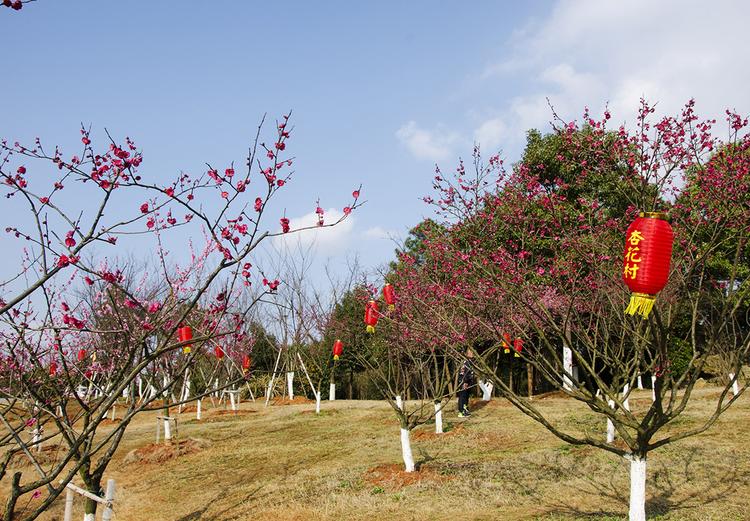 杏花园——池州人的乐园