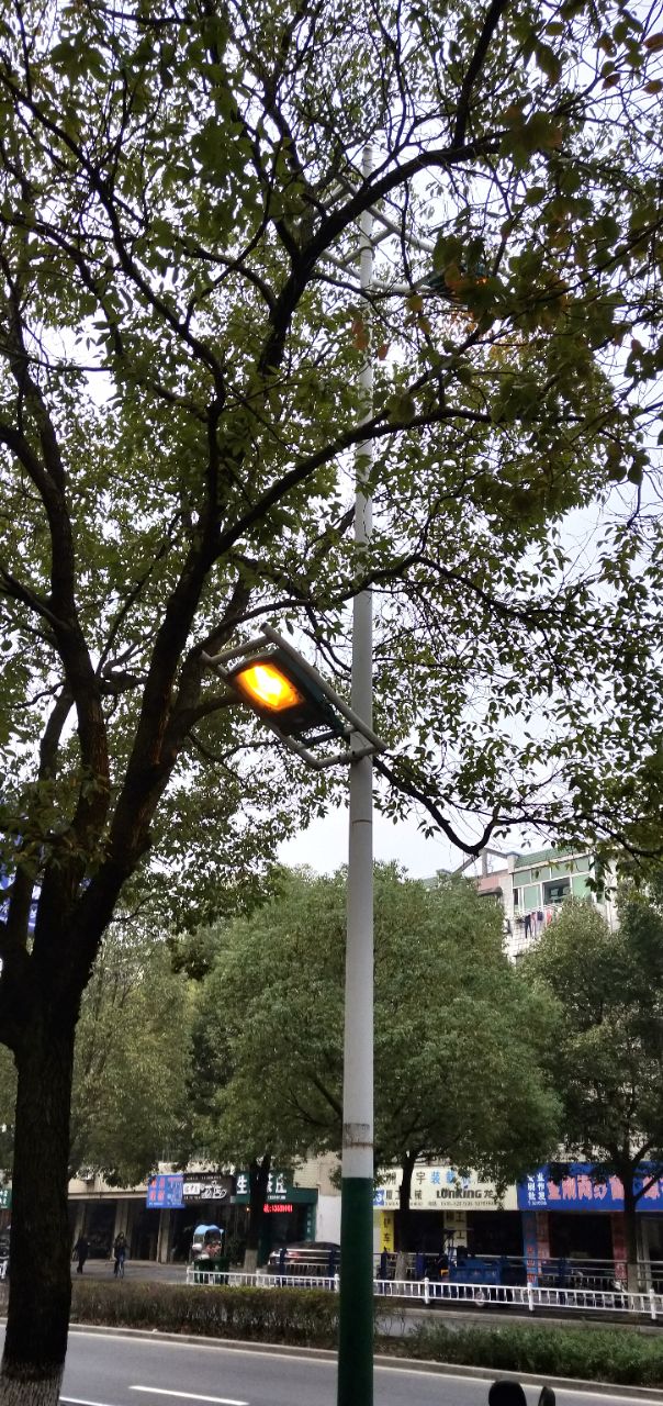 人民路路灯白天都亮着这样好吗