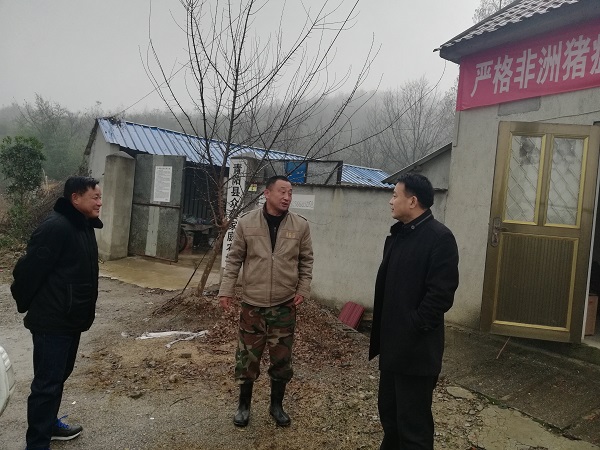 王枞红局长一行还对东至县,青阳县的松材线虫病集中治理和森林防火