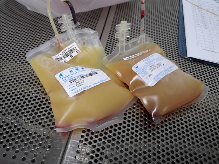 在血站第一次看到传说中的"牛奶血",我有点震惊!