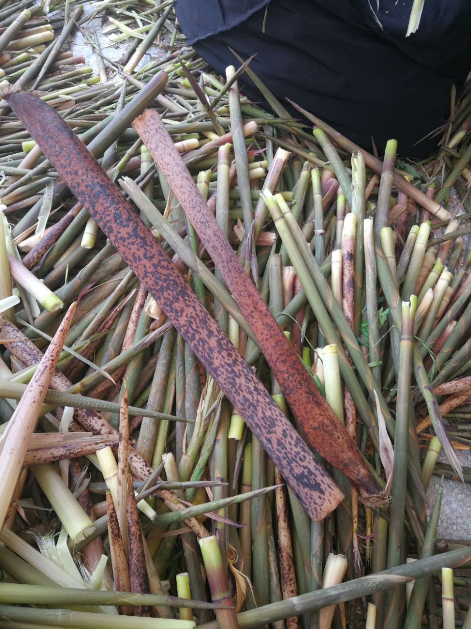 笋子皮还可以做鞋,现在还有人穿这种老鞋吗?