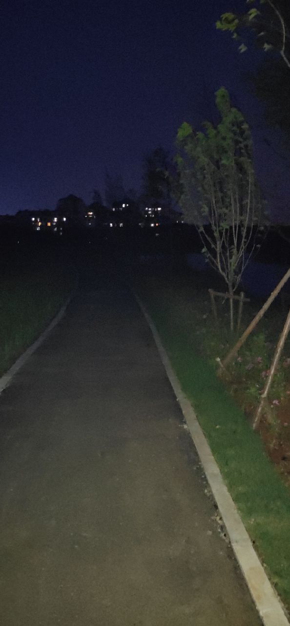 湿地公园园内至今还没有路灯给夜行的市民带来诸多不便