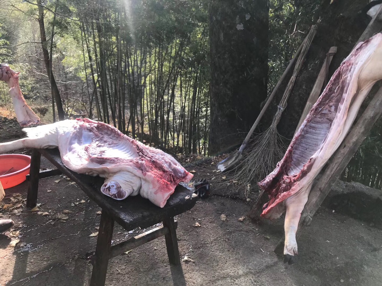 两头本地黑猪卖了一万二千多二师兄真的是吃不起