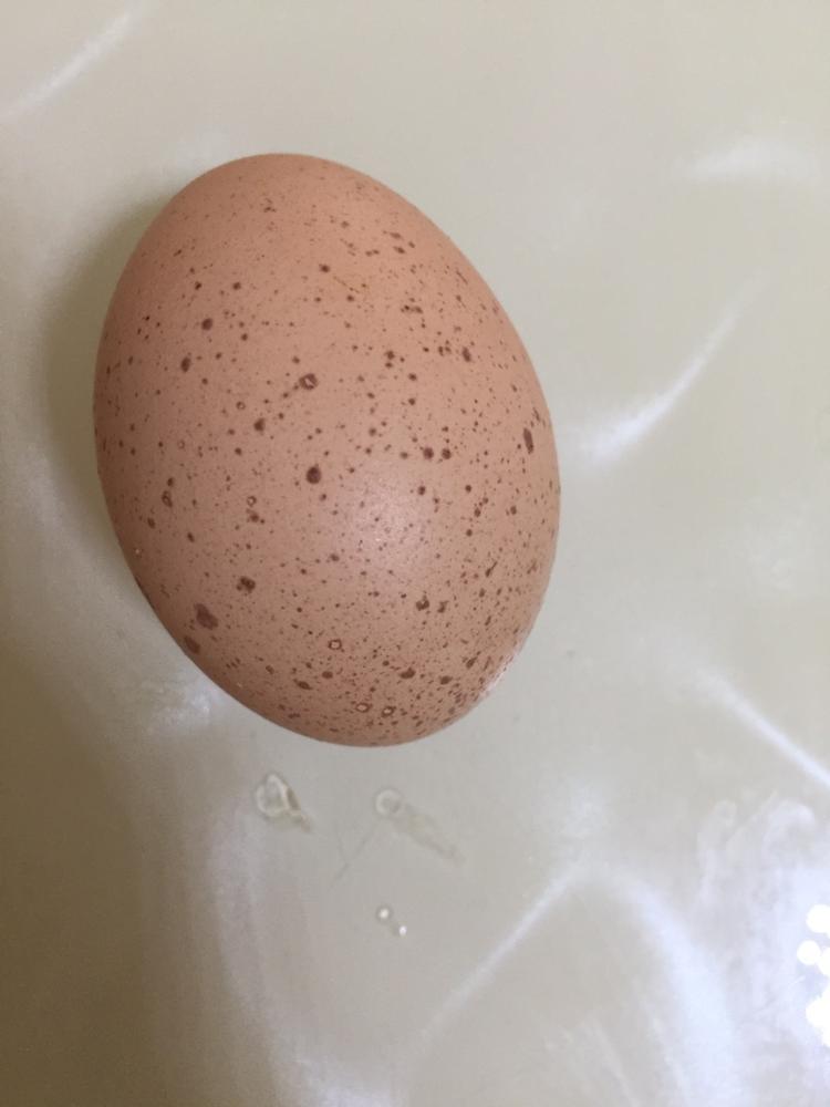 鸡蛋霉斑图片图片