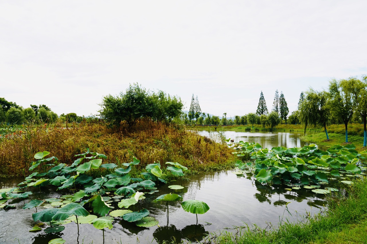 平天湖国家湿地公园图片