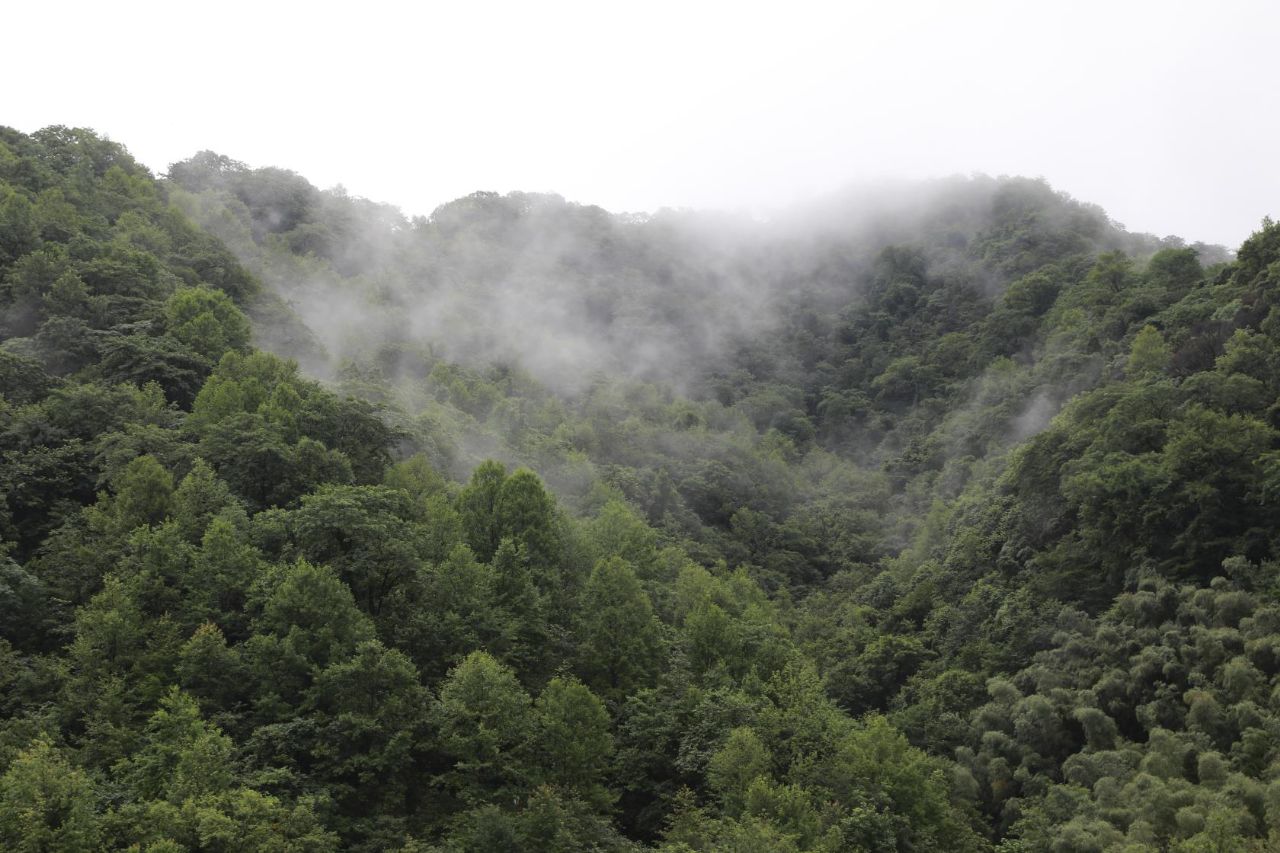 雨后大山村风景美如画空气真清新