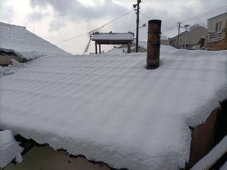 池州昨晚的雪下的挺大了,地上这厚厚的一层,都可以打雪战了