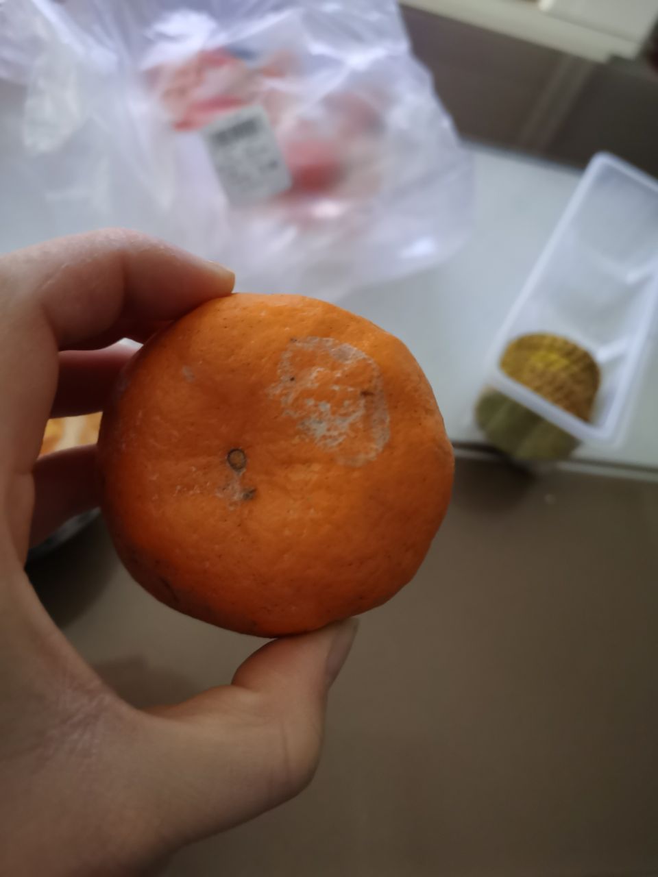橘子霉菌图片图片