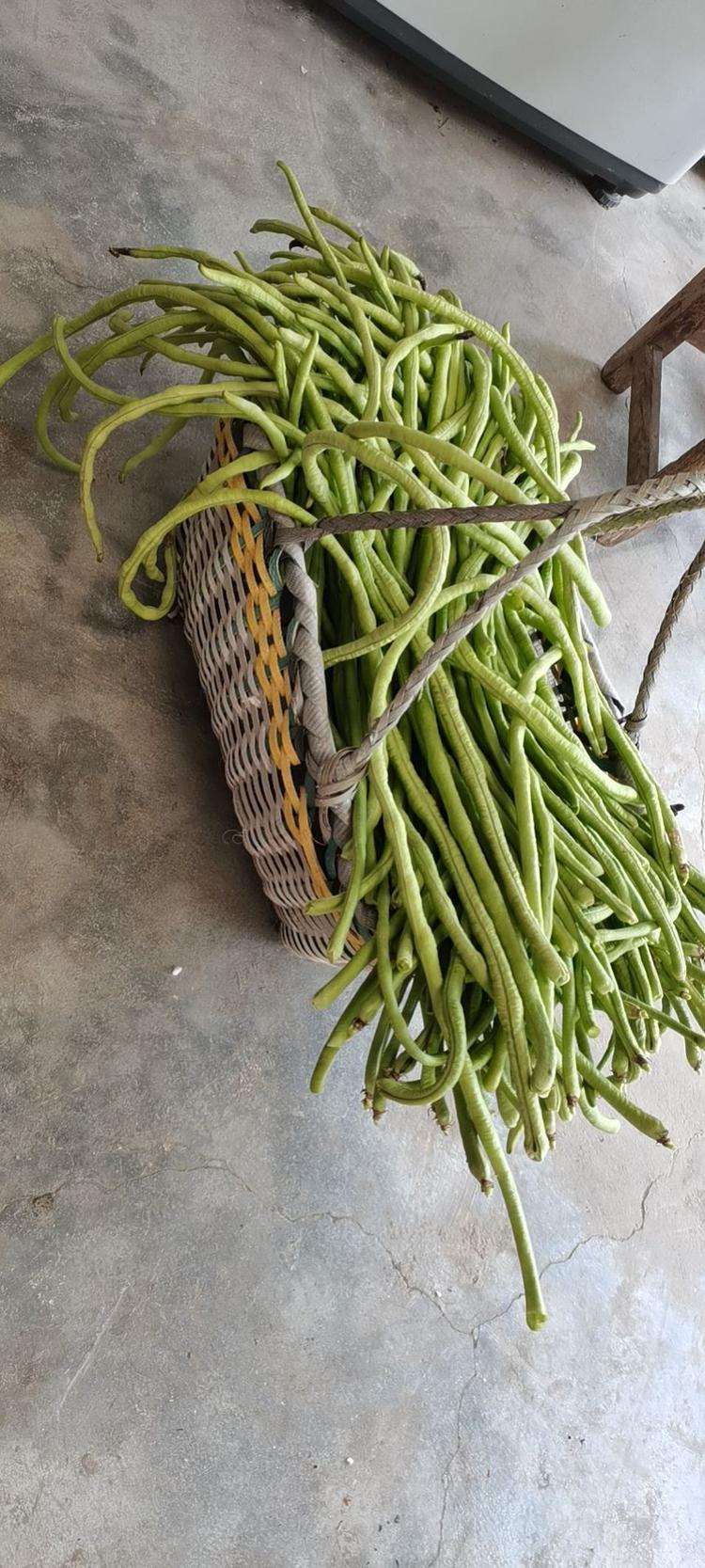 深处农村菜都吃不完,送也送不出去,也愁啊!