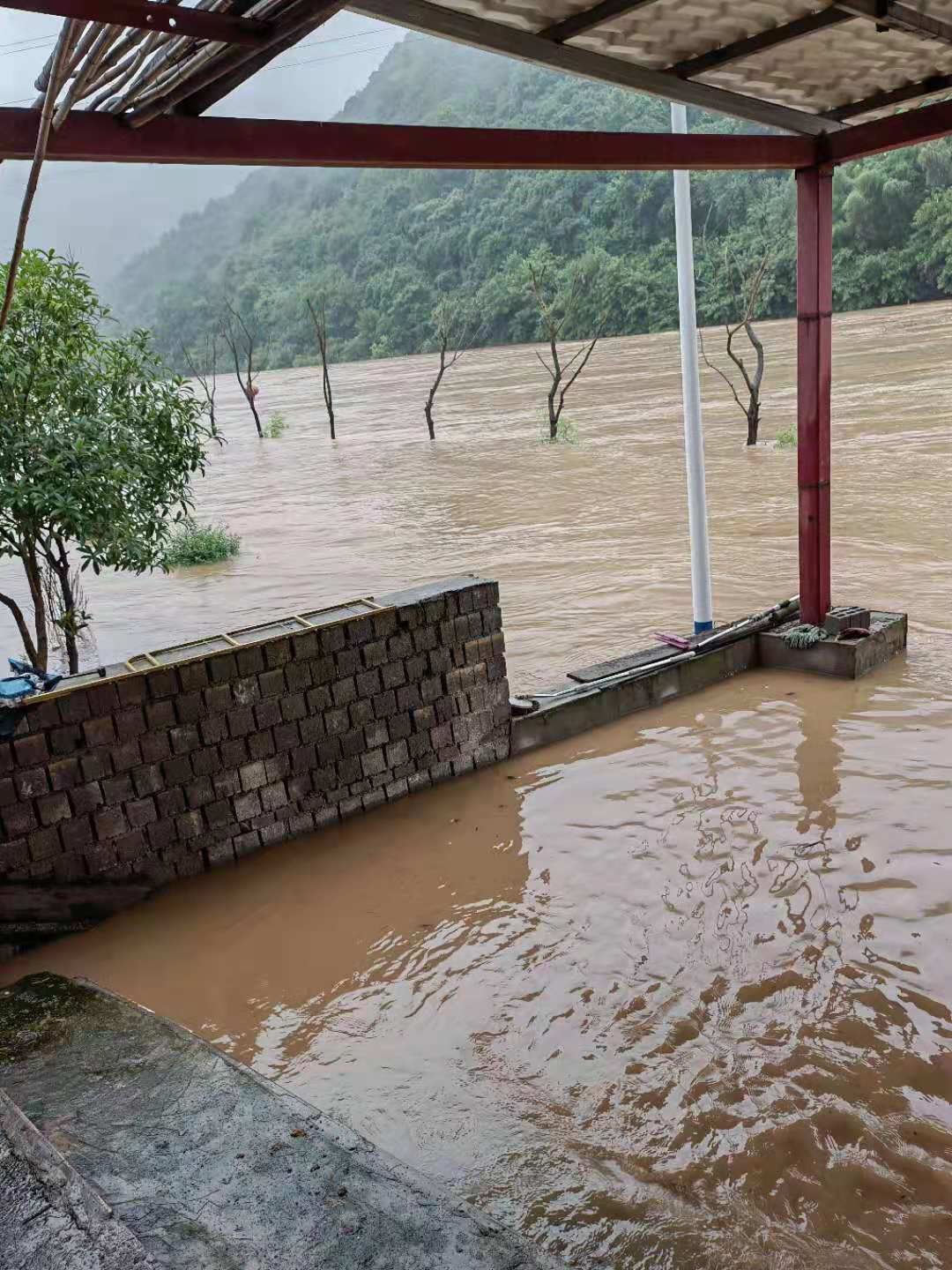 白洋河發大水啦