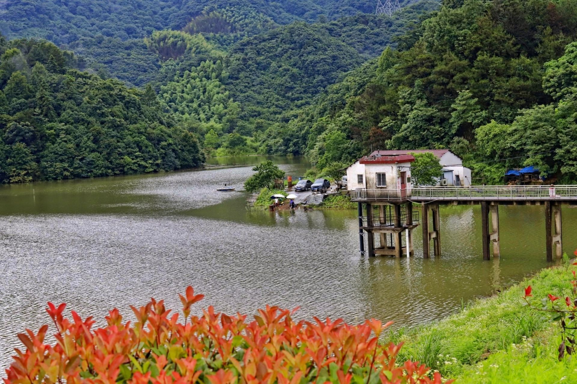 貴池區八一水庫雨後風光