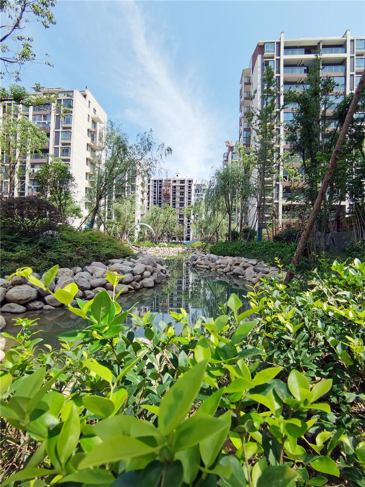 又是别人家的小区,竟然把"山水"搬进了自家园林中!