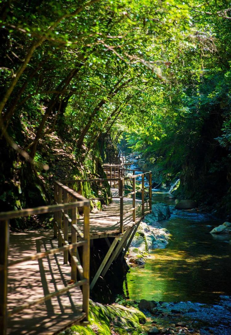 感恩教师节,这三天醉山野度假区免门票啦