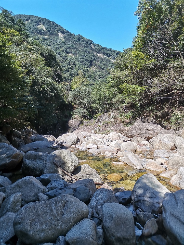 秋上霄坑山 