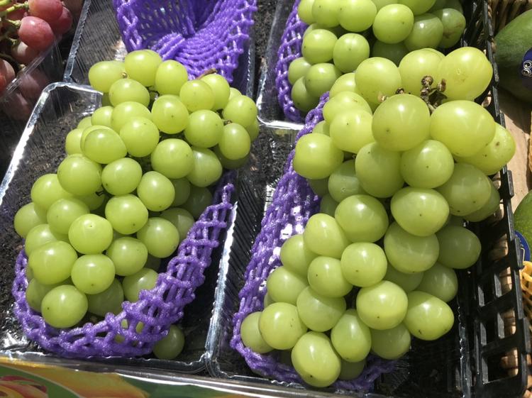 超市的阳光玫瑰葡萄居然要23块8一斤,真心吃不起