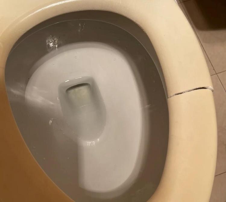 难道真是我胖了?上个厕所把马桶给坐裂了,我该怎么和男友爸妈说啊